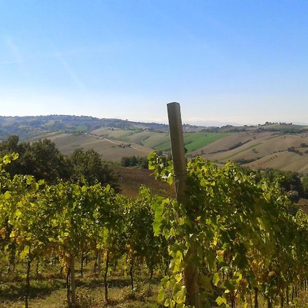 Agriturismo Le Vigne Фермо Экстерьер фото
