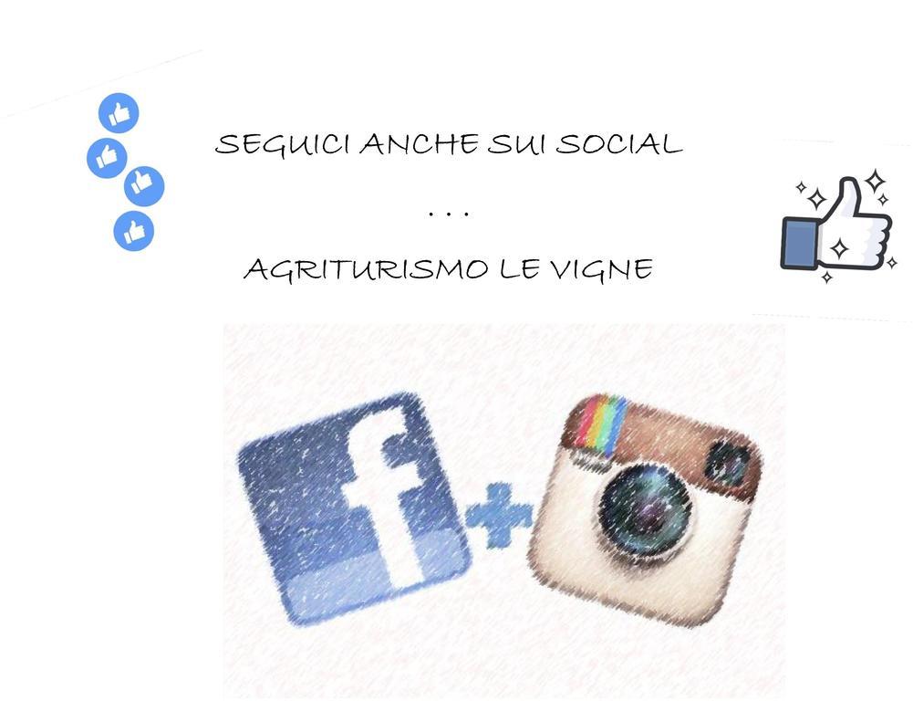 Agriturismo Le Vigne Фермо Экстерьер фото
