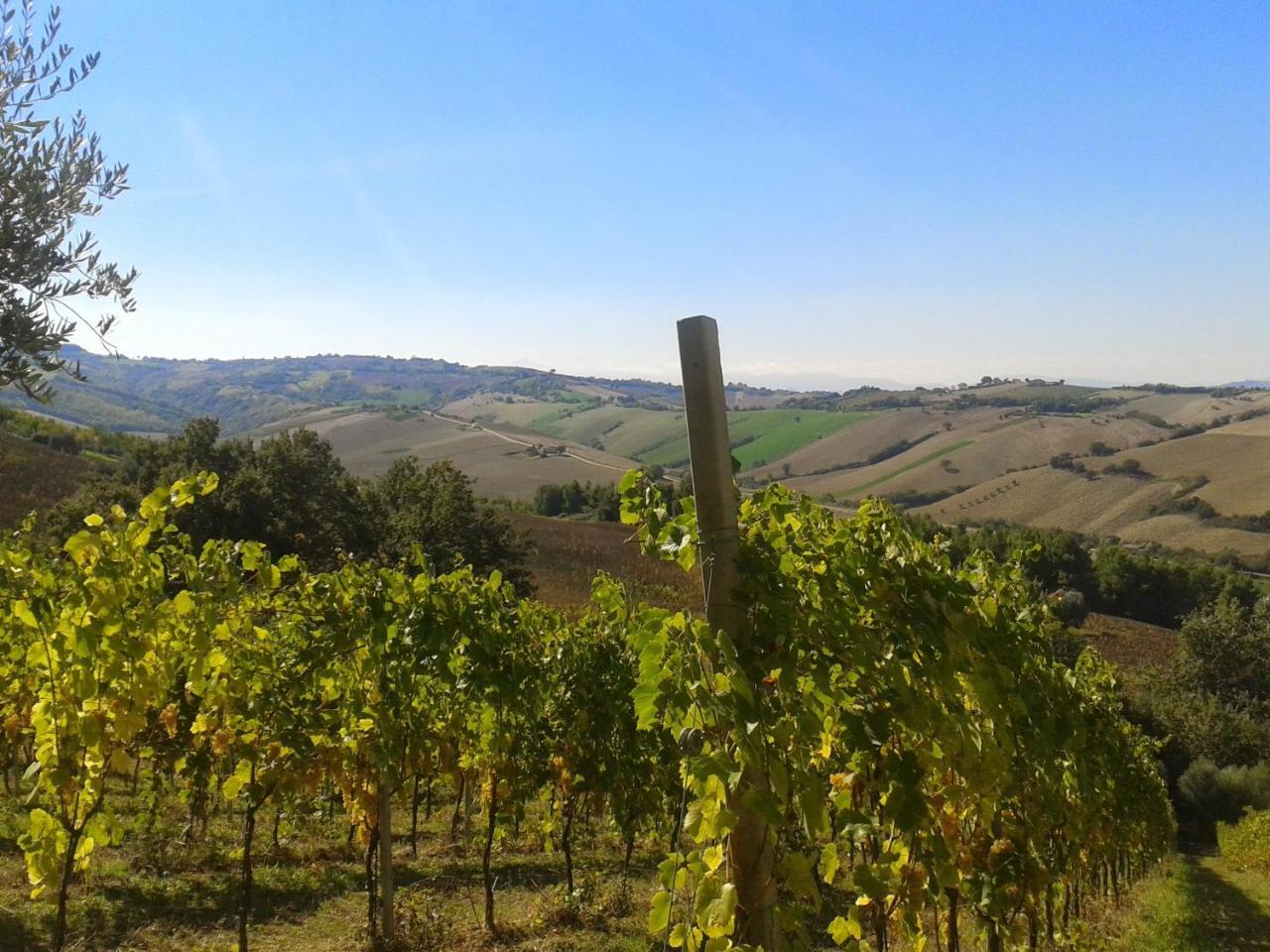 Agriturismo Le Vigne Фермо Экстерьер фото